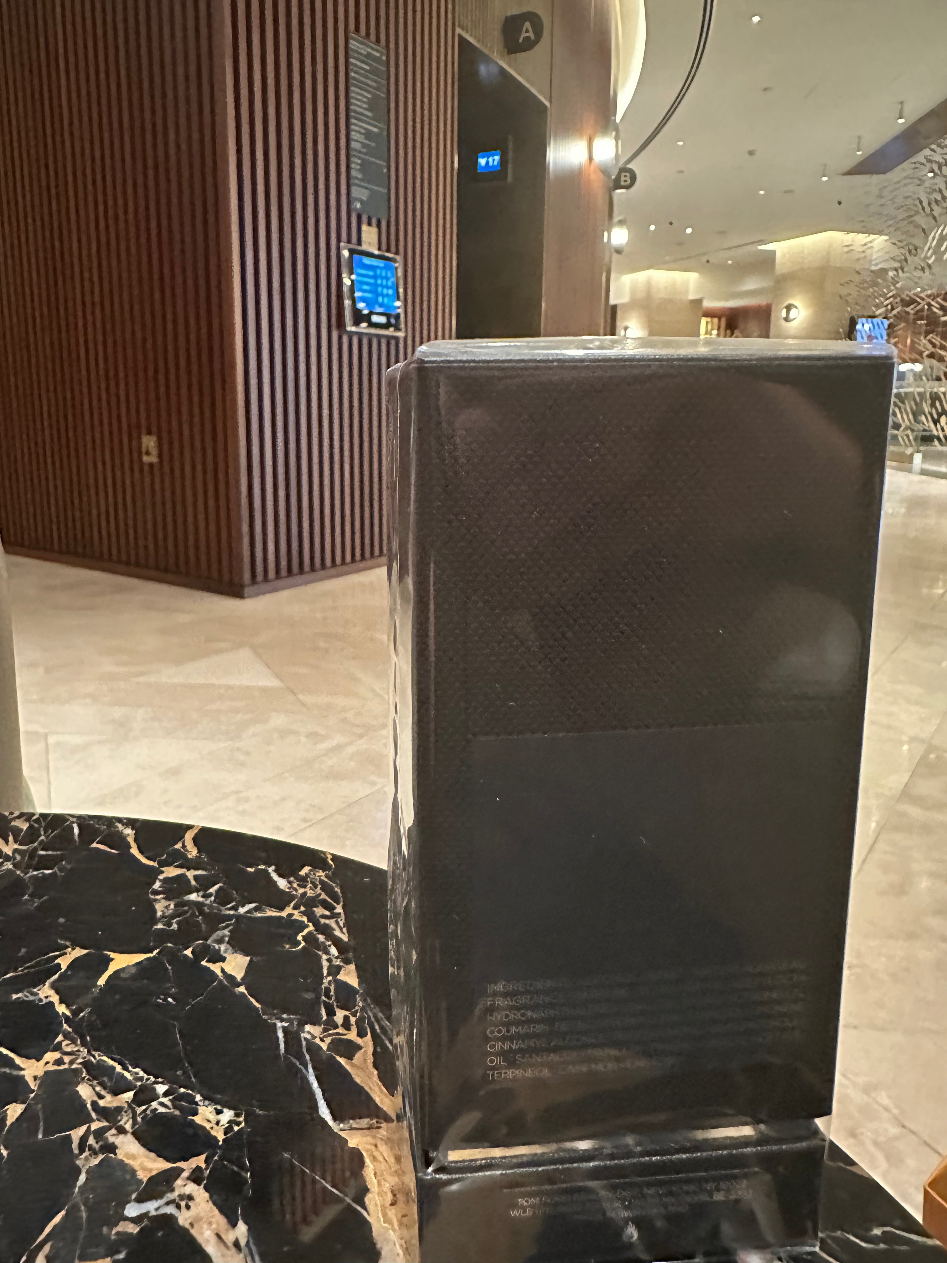 Tom Ford Oud Wood EDP Spray 100ml